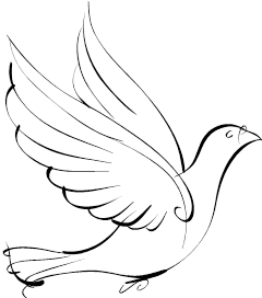 colombe