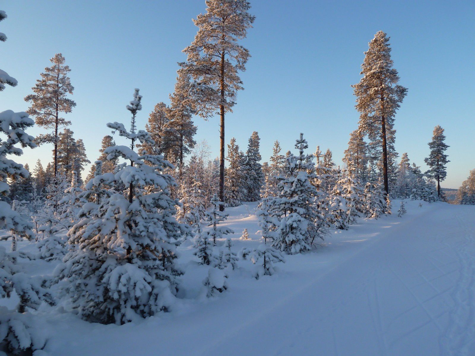 2011 - Laponie