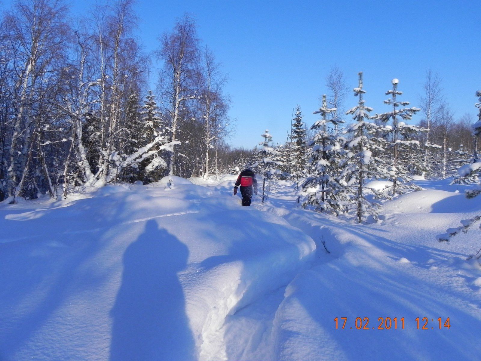 2011 - Laponie