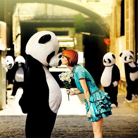 kissing-panda.jpg
