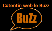 buzz Cotentin web