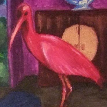 l-ibis-rouge.jpg