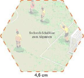 6451292.jpg