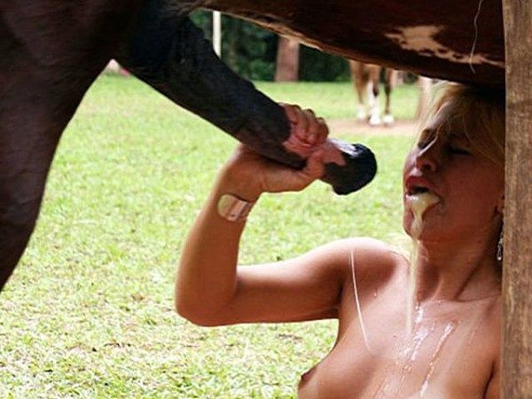 le sexe de cheval sexe en francais le sexe de cheval sexe en francais