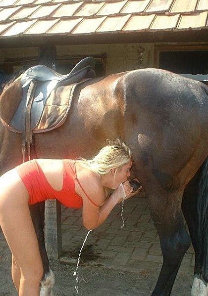 academy sexe en streaming le sexe de cheval academy sexe en streaming le sexe de cheval