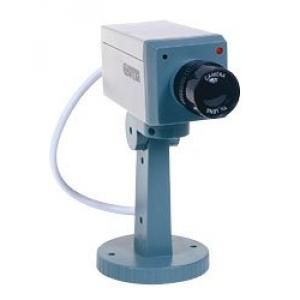 camera-surveillance-leurre_2.jpg