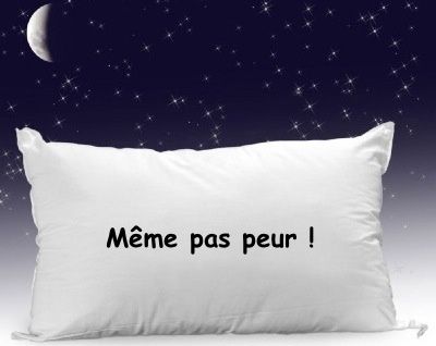 oreiller-temeraire-meme-pas-peur-hardi.jpg