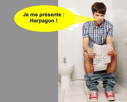 harpagon-toilettes.jpg