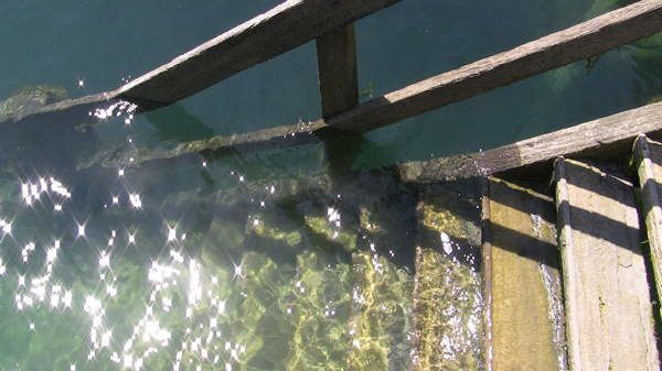 chausey007