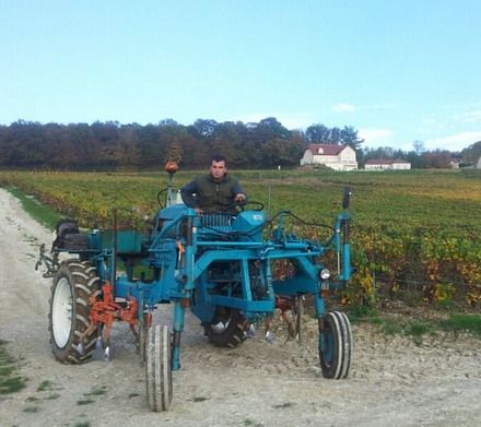 labour-automne-2012.jpg