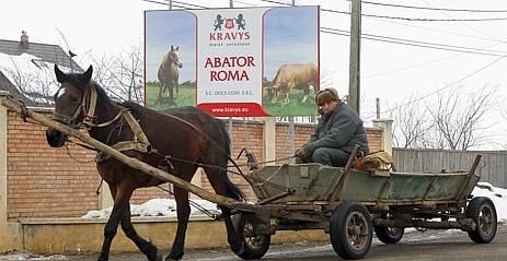 Roumanie-chevaux-C-Reuters--469x239.jpg