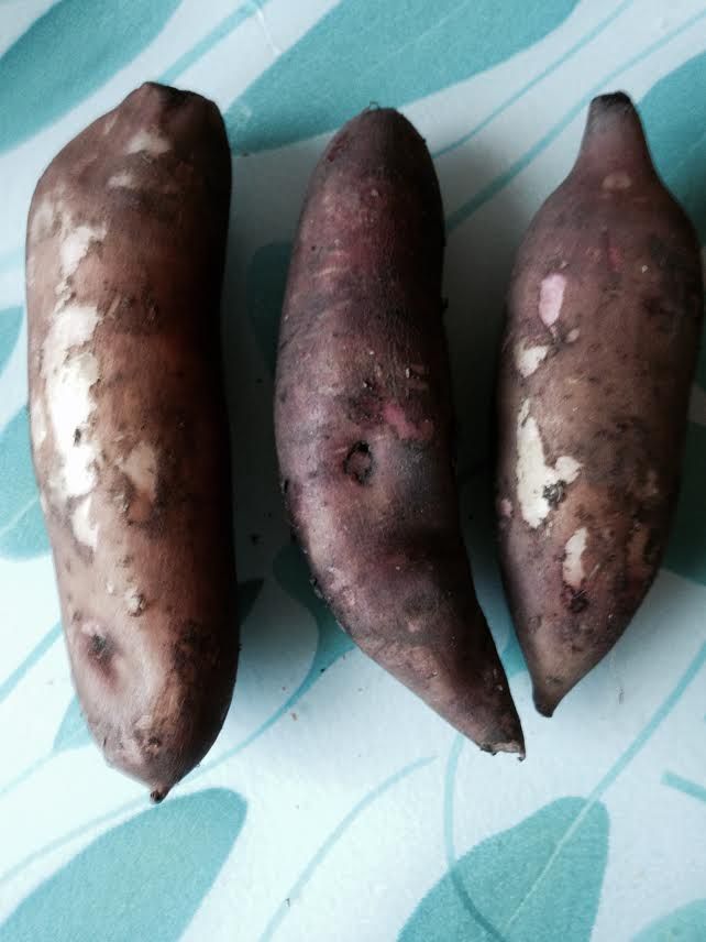 poire-de-terre.jpg