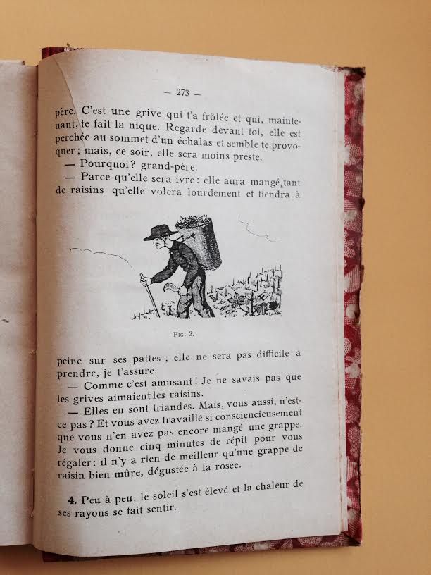 vendanges7.jpg