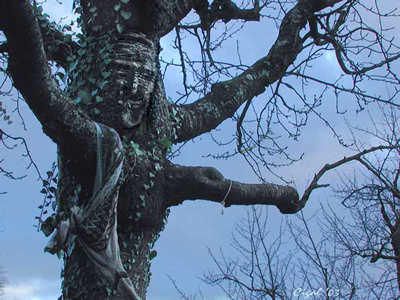 arbre-humain2.jpg