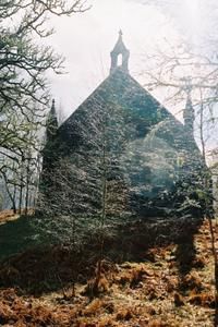 img012.jpg