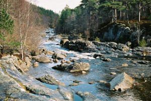 img020.jpg