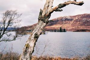img023.jpg