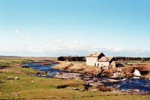 imm016-17.jpg
