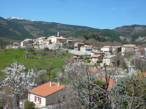 stju