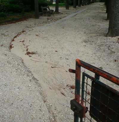 Au Raincy, le square Maunoury se sauve
