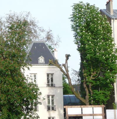 Photo Raincy-Nono Médiathèque
