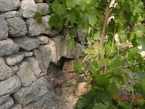 niche-pour-vigne-dans-un-mur-en-pierre-seche-copyright-L.Cagin