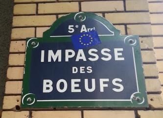 boeufs2.jpg