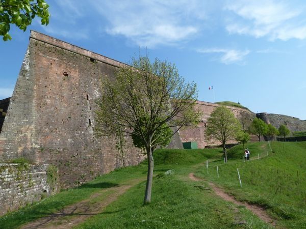 P1100018
