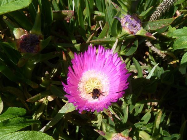 P1100835