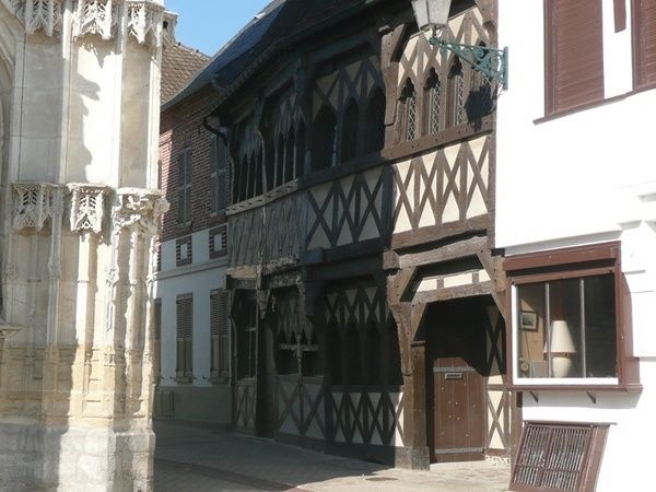Copaleparis 066