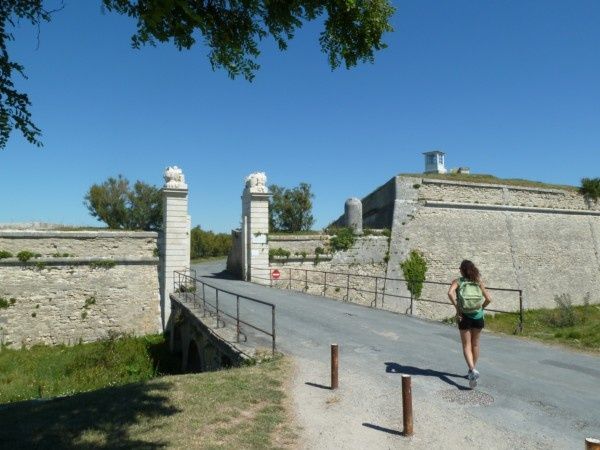 P1070122