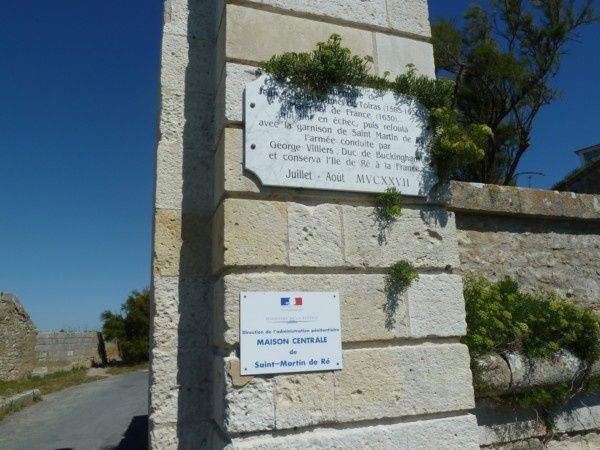 P1070123