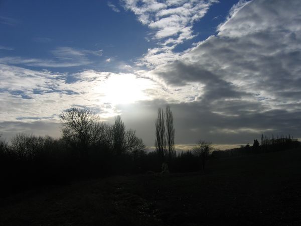 IMG-2613--600x450-.jpg