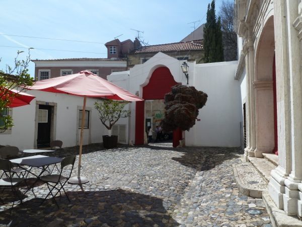 P1040771