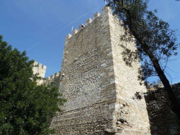 P1040788-copie-1.jpg