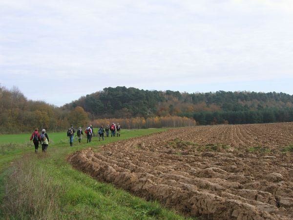 img-0131-_600x450_.jpg
