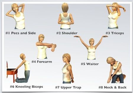 illustrated.stretching.exercises.thumbnails.jpg