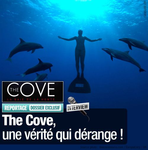 the cove