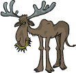 cerf.gif