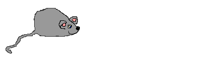 souris-75