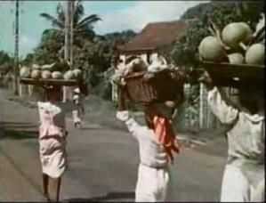 martinique-1950.jpg
