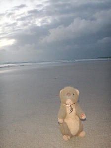 PICT0715.JPG