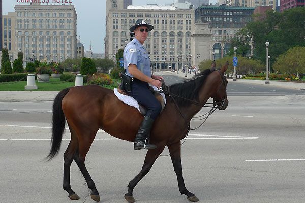 segway-chicago-p1010874