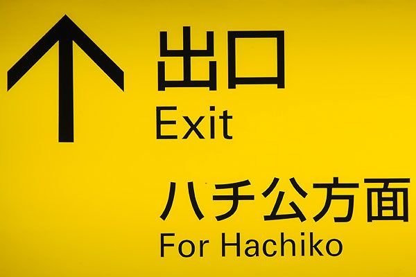 tokyo-hachiko-01538