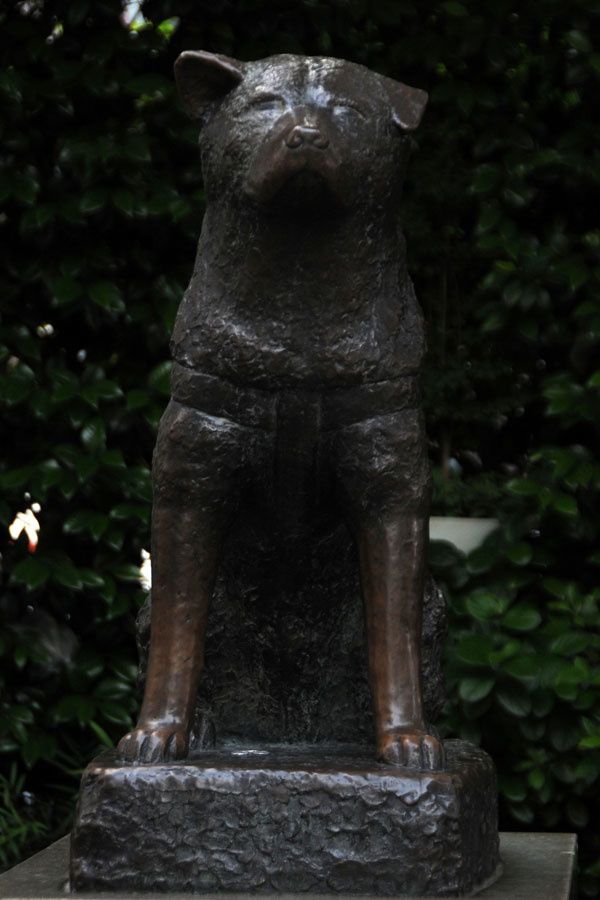 tokyo-hachiko-01611