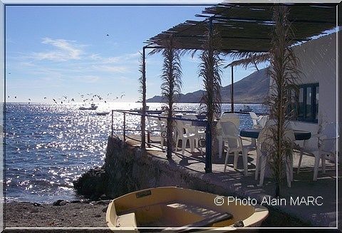 Restaurant-de-plage