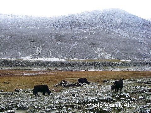Haute vallée