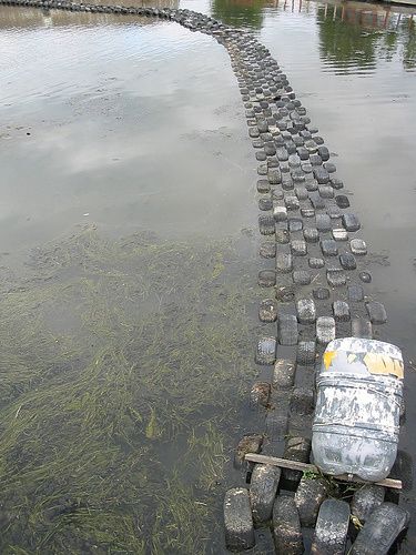 Pont-en-pneus.jpg