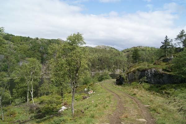 DSC06732