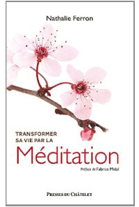 transformer-meditation-Ferron.gif